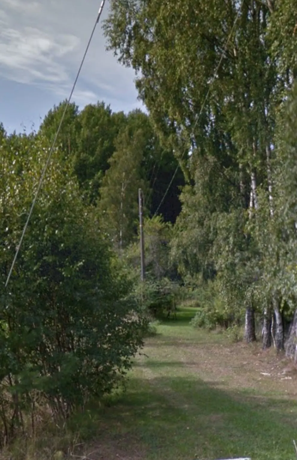 En grön stig mellan björkar och träd vid Betebyvägen